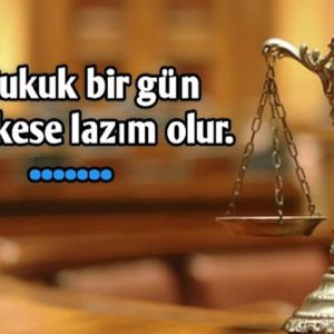 Read more about the article KAPI KOLU VE ÖZGÜRLÜK